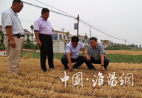 谢留定调研三夏生产、秸秆禁烧工作